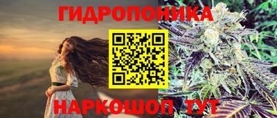 PSILOCYBIN Кунгур