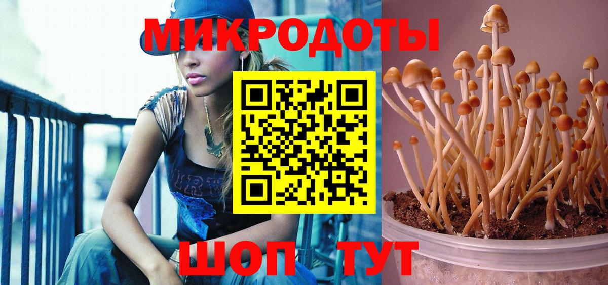 Псилоцибиновые грибы мухоморы  Вход с VPN  Каменка 
